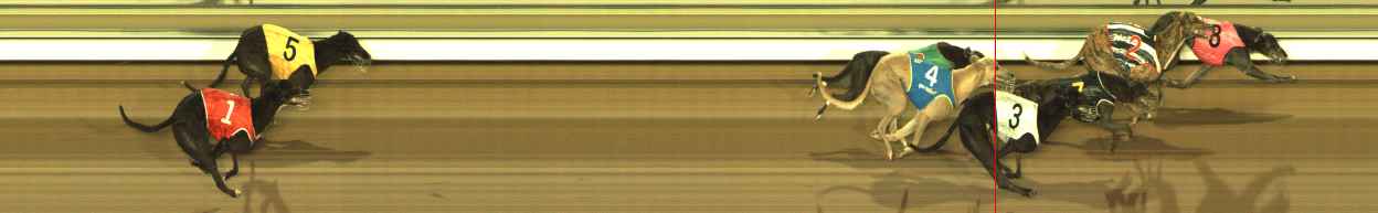 Photo finish for The Meadows Race 8