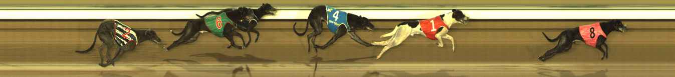 Photo finish for The Meadows Race 9