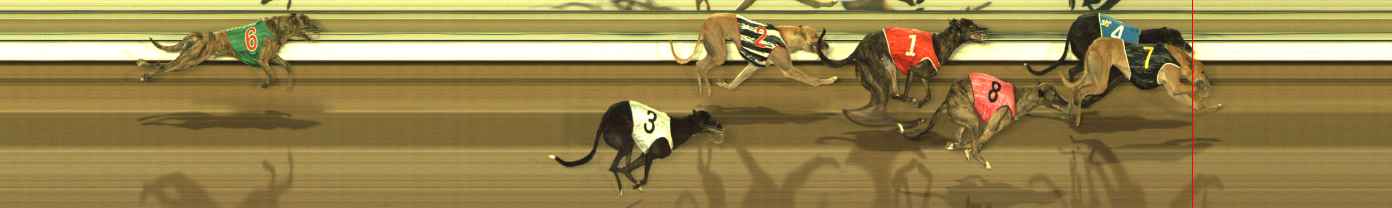 Photo finish for The Meadows Race 10