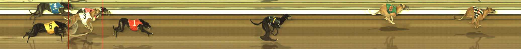 Photo finish for The Meadows Race 11