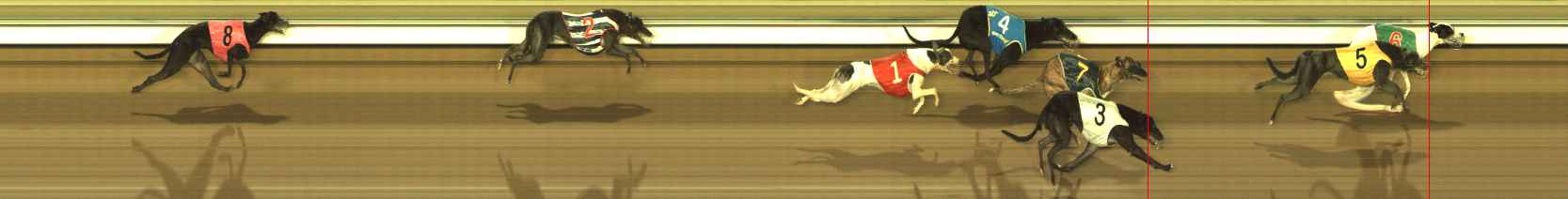 Photo finish for The Meadows Race 12