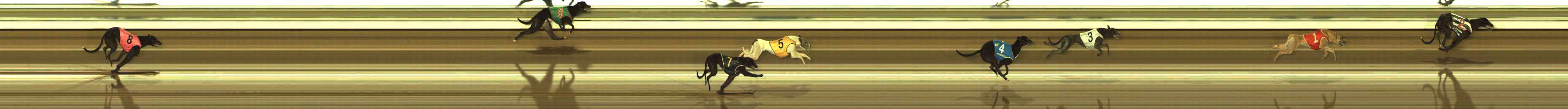 Photo finish for The Meadows Race 1