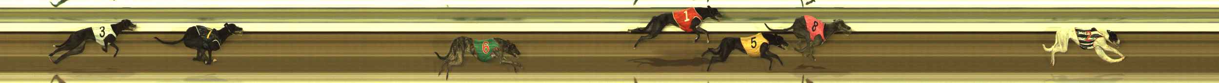 Photo finish for The Meadows Race 2