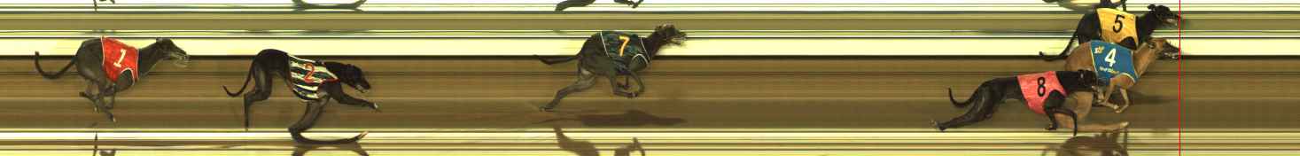 Photo finish for The Meadows Race 3