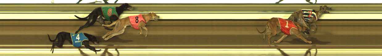 Photo finish for The Meadows Race 4