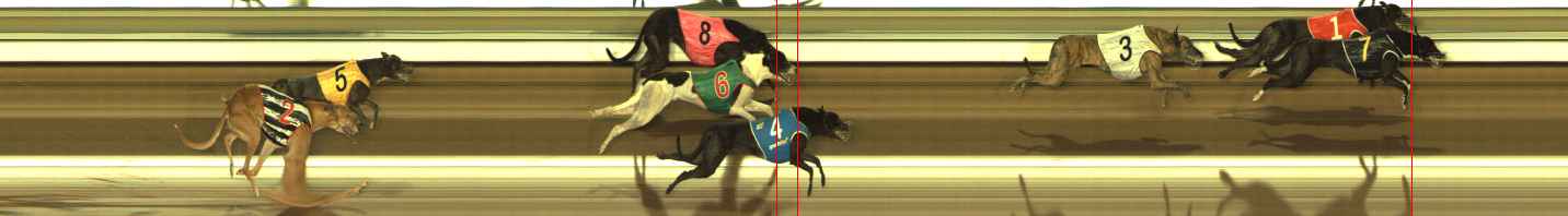 Photo finish for The Meadows Race 6