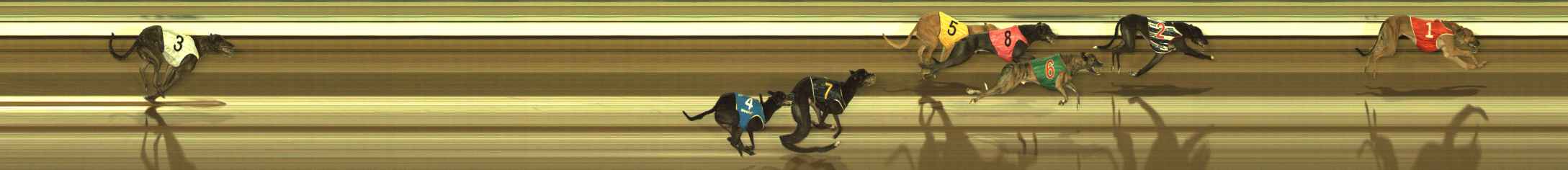 Photo finish for The Meadows Race 7