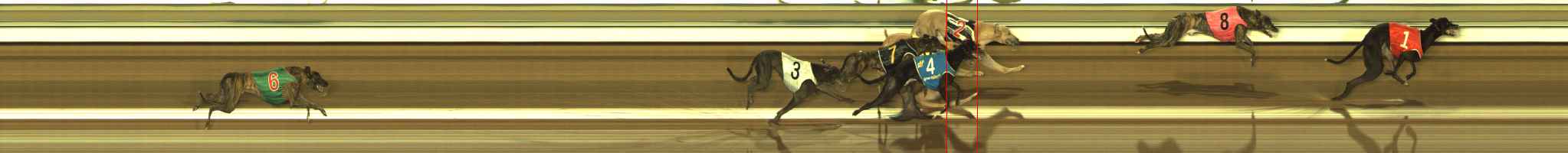 Photo finish for The Meadows Race 8
