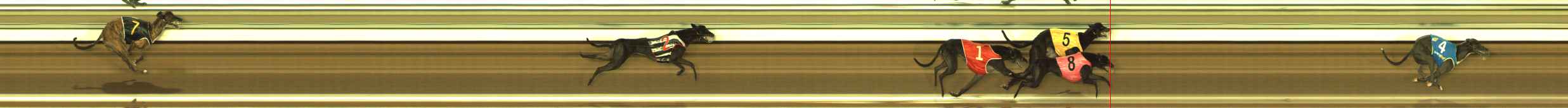 Photo finish for The Meadows Race 9