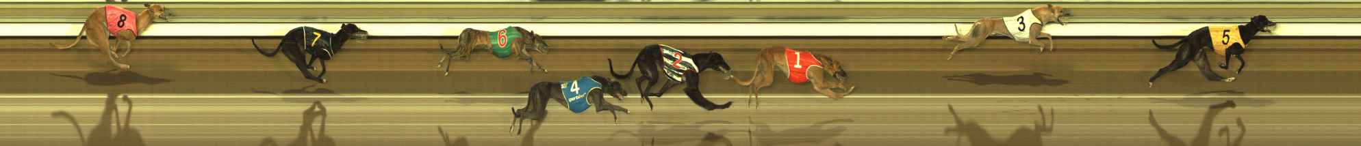 Photo finish for The Meadows Race 10