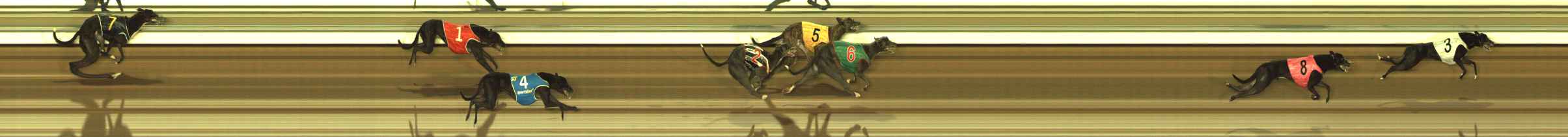 Photo finish for The Meadows Race 11