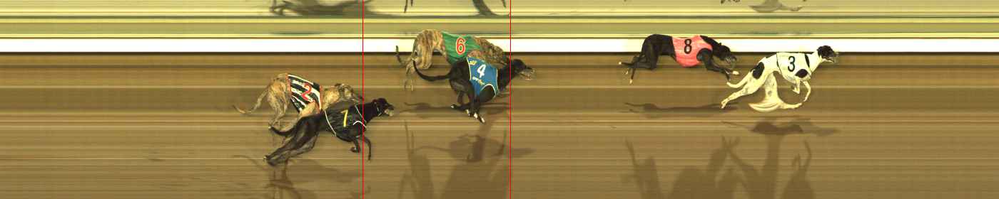 Photo finish for The Meadows Race 5