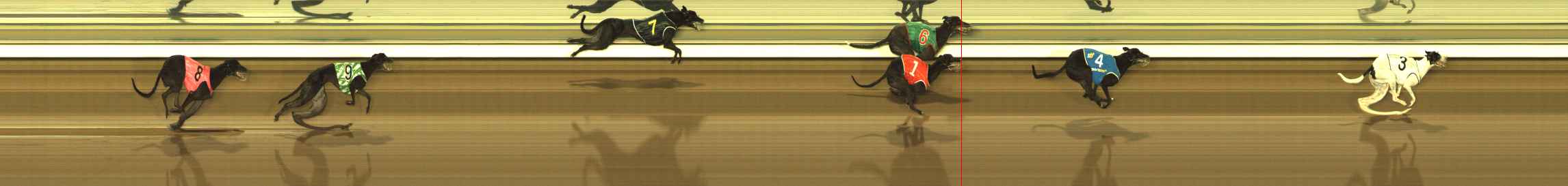 Photo finish for The Meadows Race 6