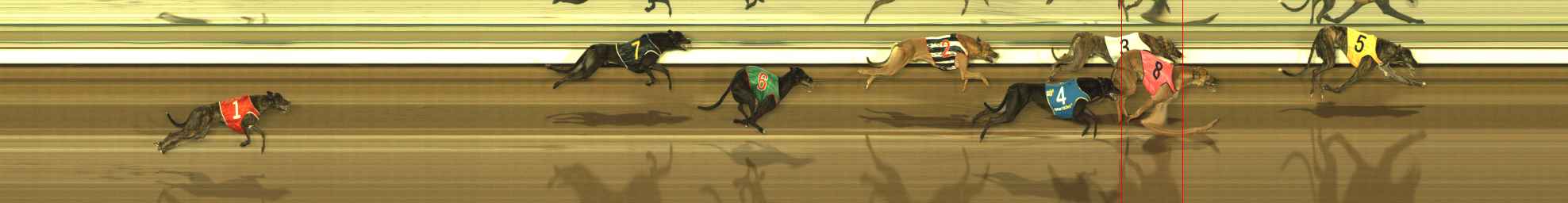 Photo finish for The Meadows Race 7