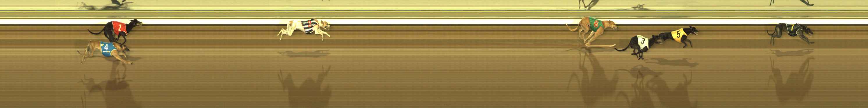 Photo finish for The Meadows Race 8