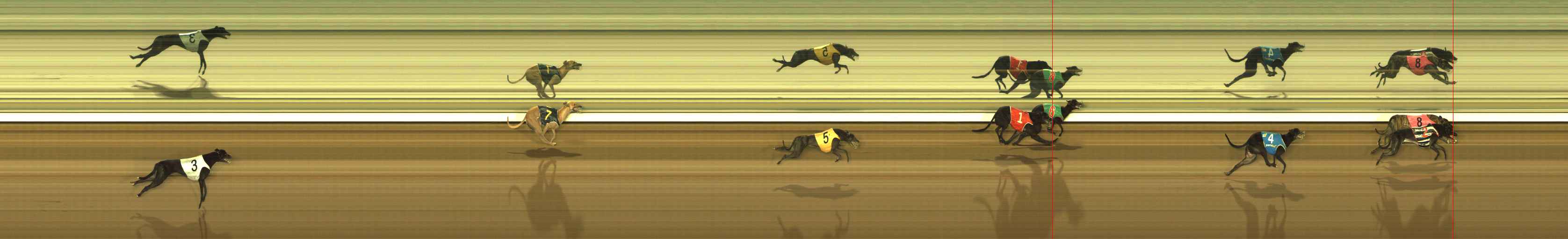 Photo finish for The Meadows Race 10