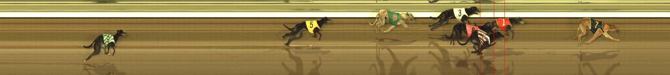 Photo finish for The Meadows Race 11