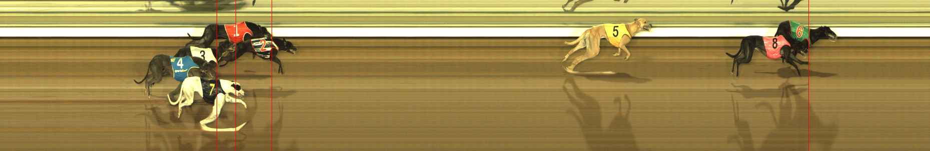 Photo finish for The Meadows Race 12