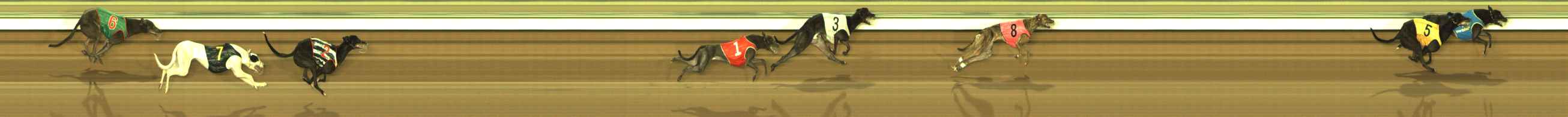 Photo finish for The Meadows Race 1