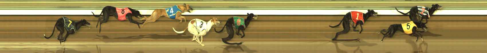 Photo finish for The Meadows Race 2