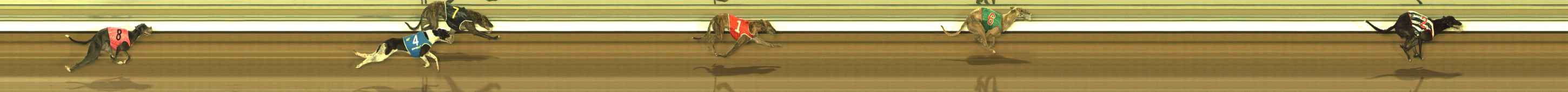 Photo finish for The Meadows Race 4