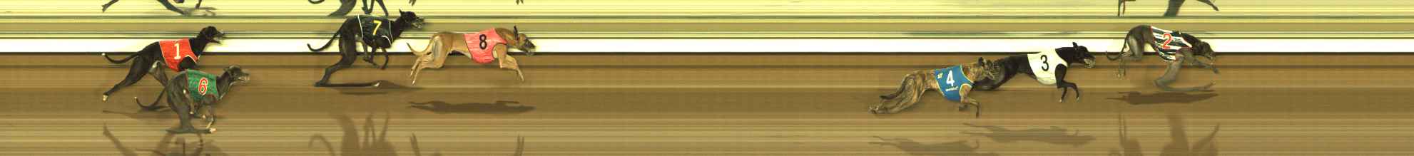 Photo finish for The Meadows Race 6