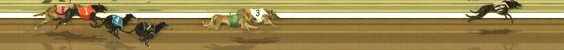 Photo finish for The Meadows Race 7
