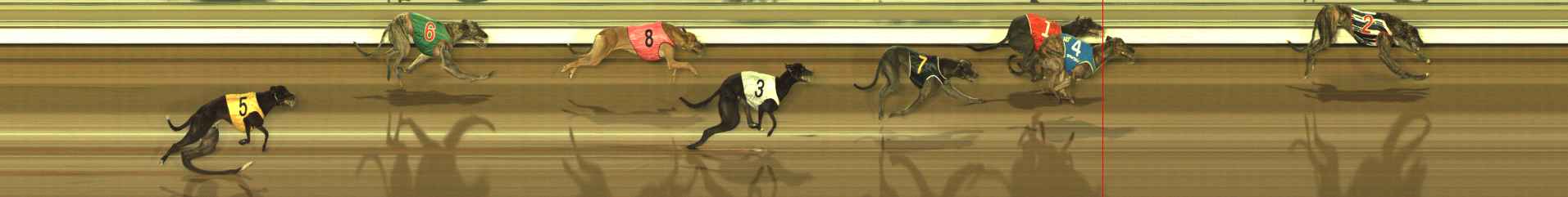Photo finish for The Meadows Race 8