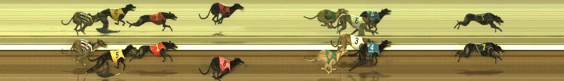 Photo finish for The Meadows Race 9