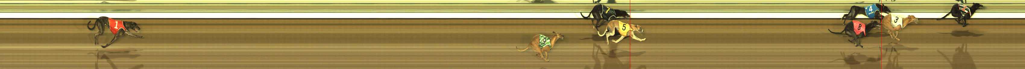 Photo finish for The Meadows Race 11