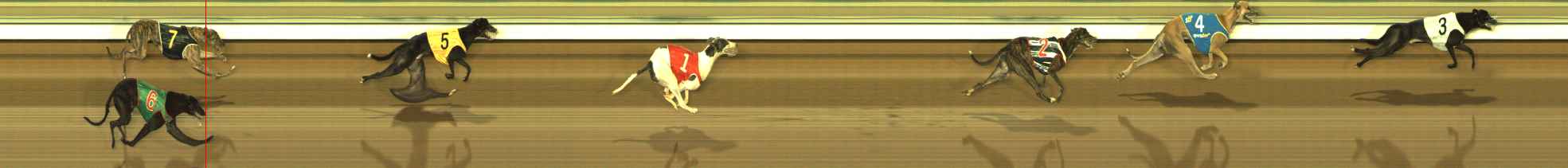 Photo finish for The Meadows Race 12
