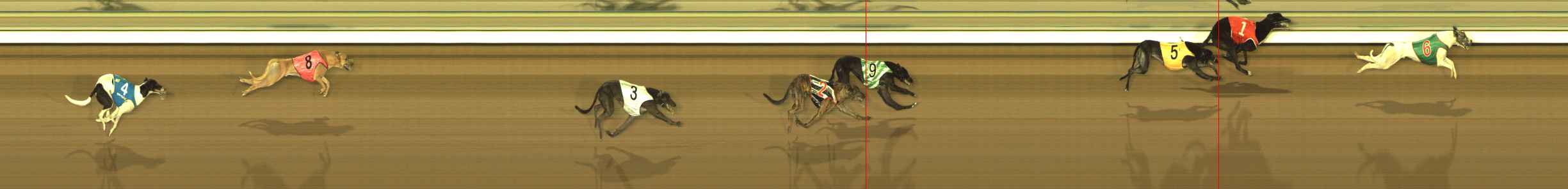 Photo finish for The Meadows Race 1