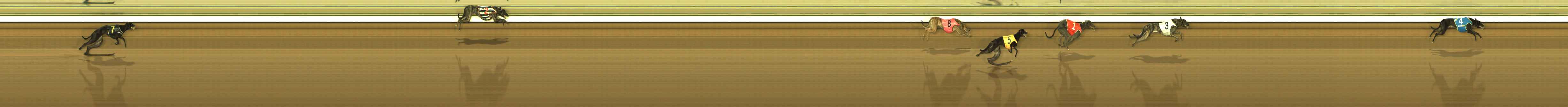 Photo finish for The Meadows Race 2