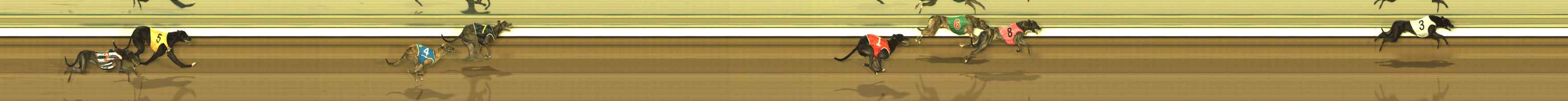 Photo finish for The Meadows Race 3
