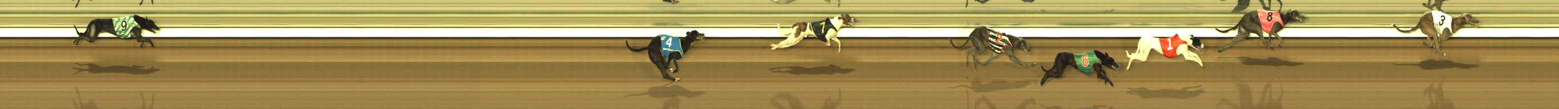 Photo finish for The Meadows Race 4