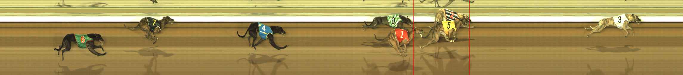 Photo finish for The Meadows Race 5