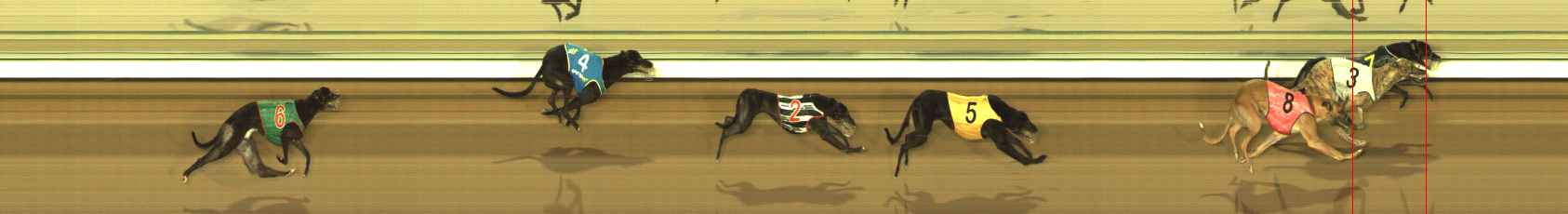 Photo finish for The Meadows Race 7