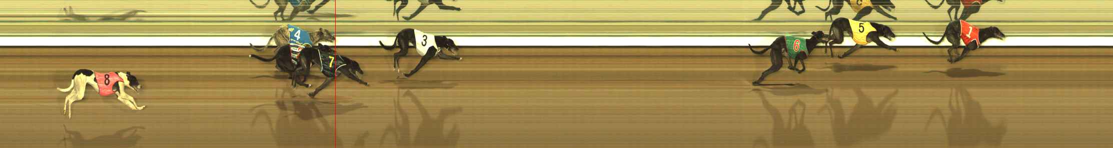 Photo finish for The Meadows Race 8