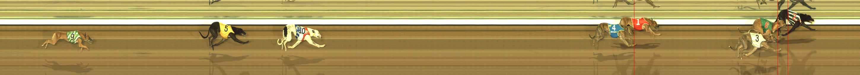 Photo finish for The Meadows Race 9