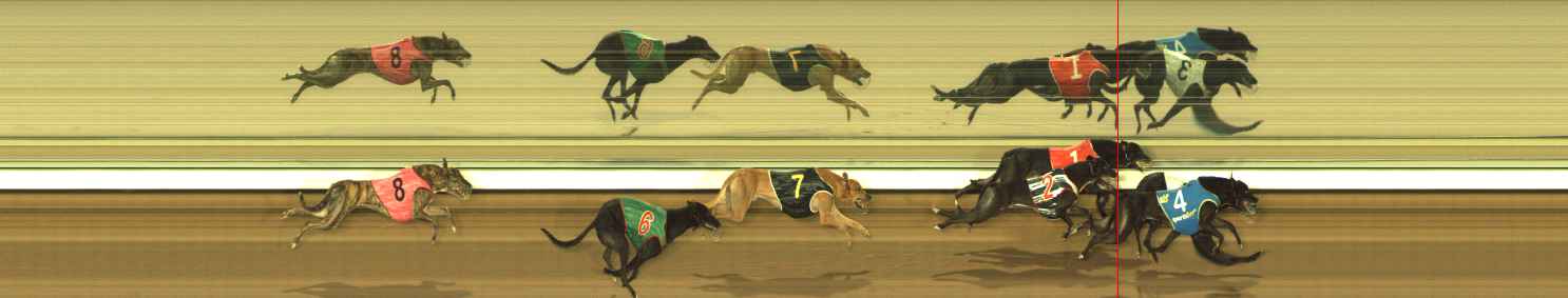Photo finish for The Meadows Race 10