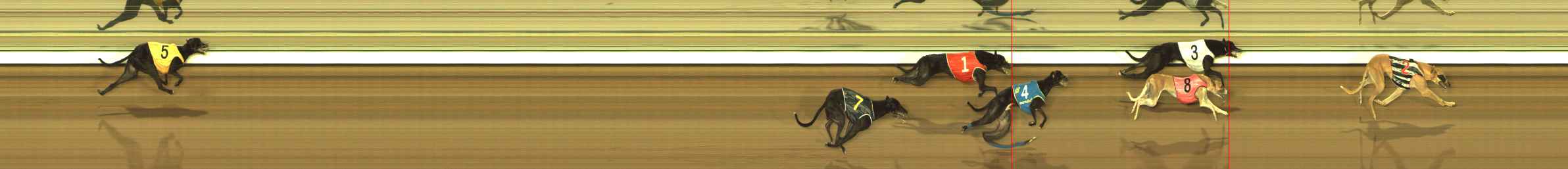 Photo finish for The Meadows Race 11