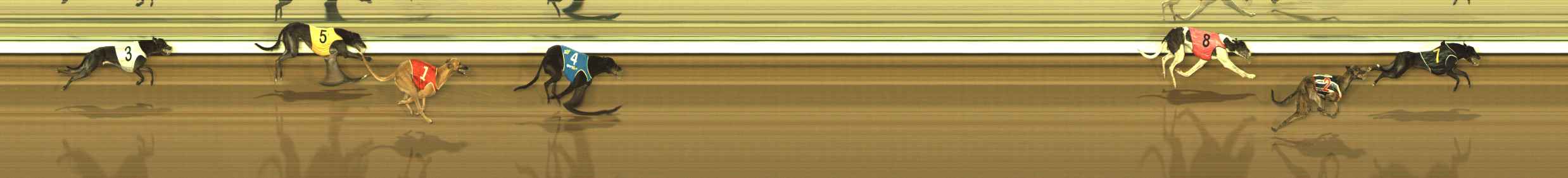 Photo finish for The Meadows Race 12