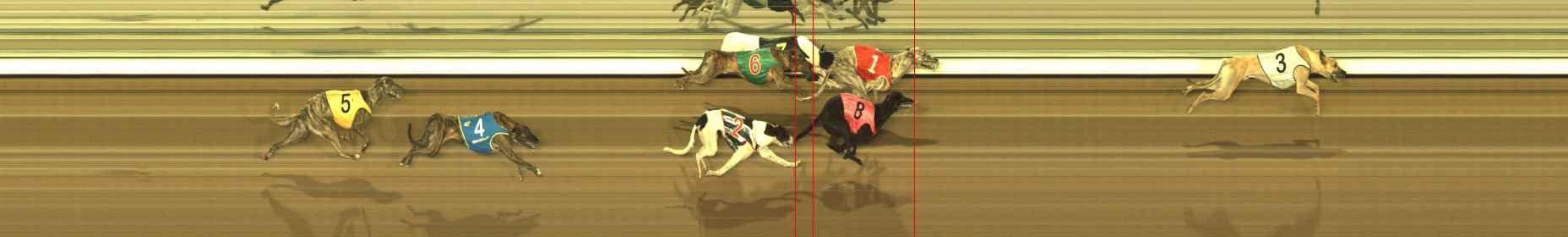 Photo finish for The Meadows Race 1