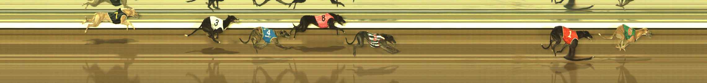 Photo finish for The Meadows Race 2