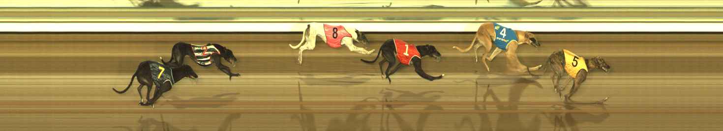 Photo finish for The Meadows Race 4