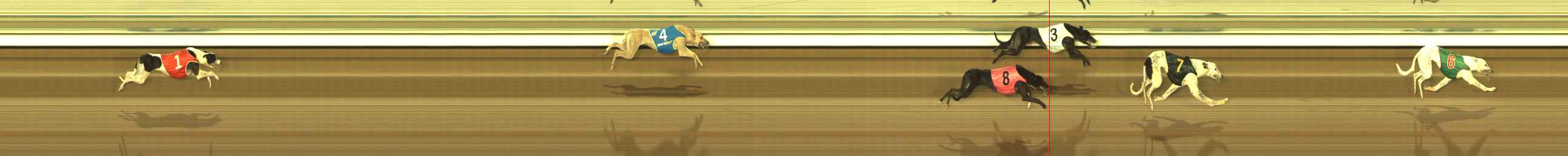 Photo finish for The Meadows Race 5