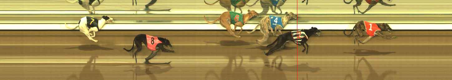 Photo finish for The Meadows Race 7