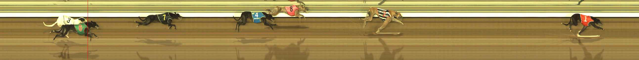 Photo finish for The Meadows Race 8