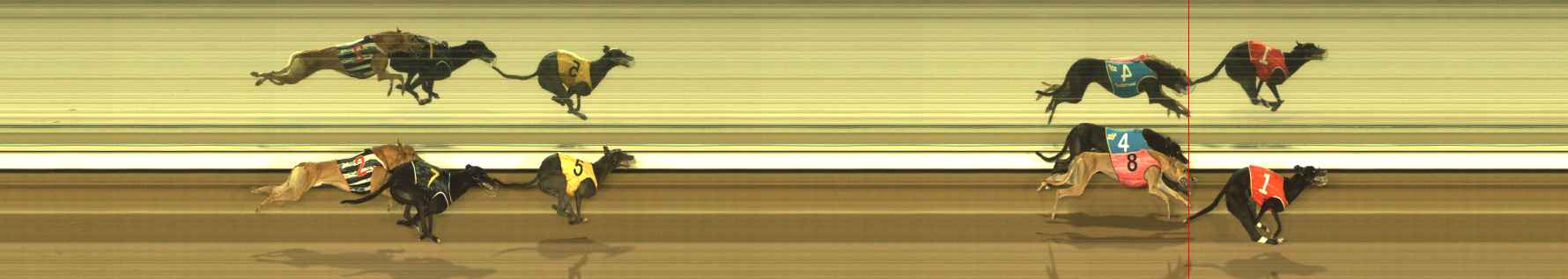 Photo finish for The Meadows Race 9