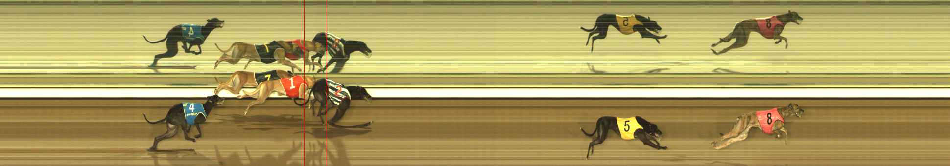 Photo finish for The Meadows Race 10